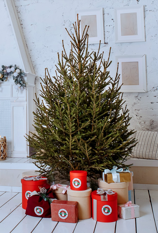 Фото на сайте